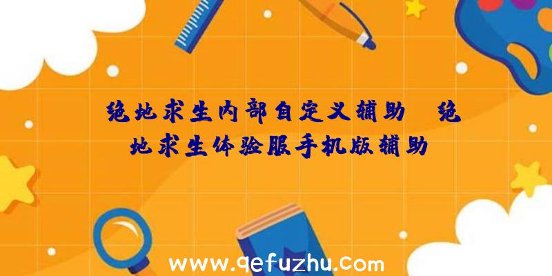 「绝地求生内部自定义辅助」|绝地求生体验服手机版辅助